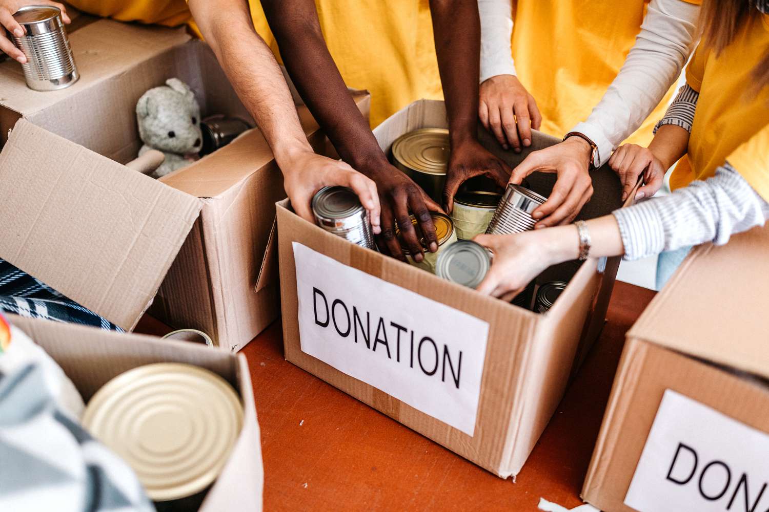 Donation program image view